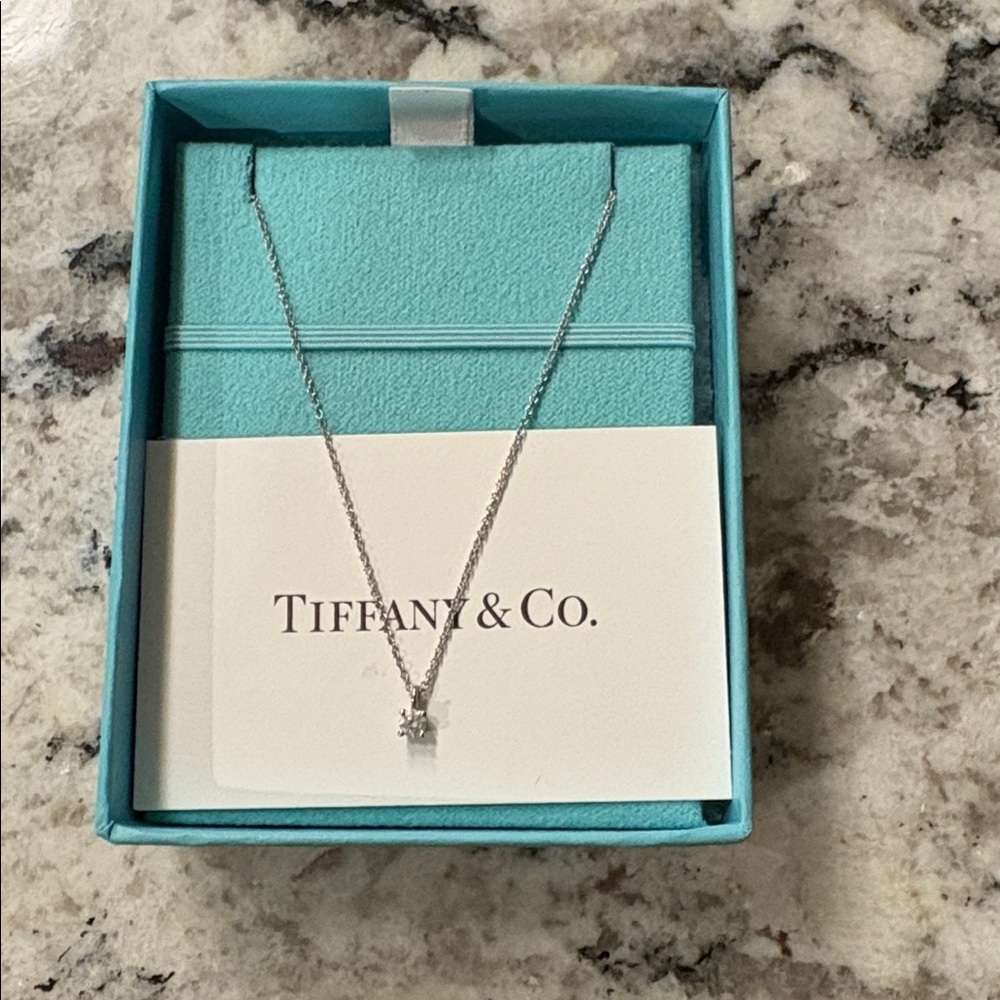 Tiffany & Co. Silver Pendant Necklace Girt Set